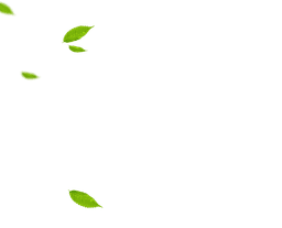 Leaf Shape
